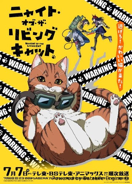 Ночь живых кошаков